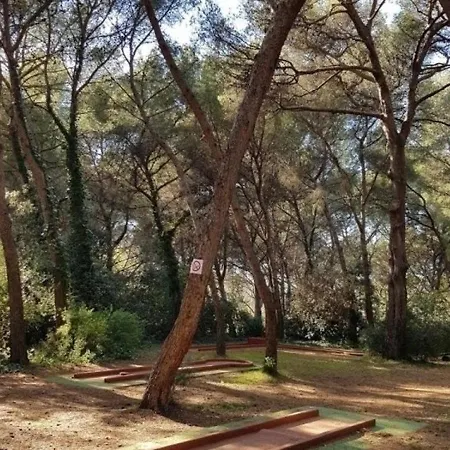 Grand Large * Six-Fours-les-Plages